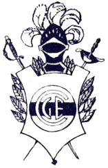 escudo moderno
