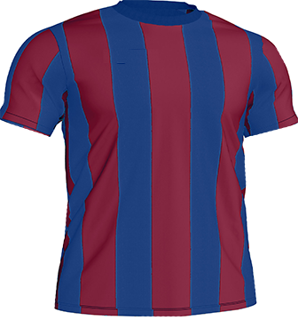 Camiseta rival 2T
