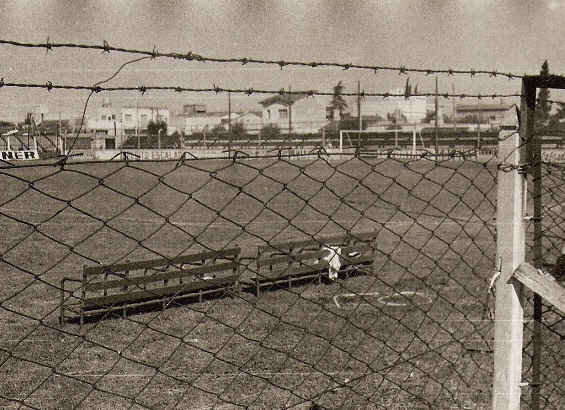 estadio