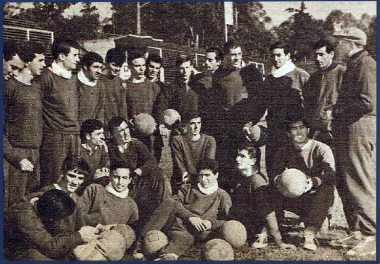 GIMNASIA